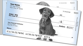 Black Lab Pup Side Tear Design Checks