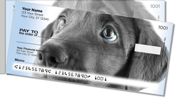 Black Lab Pup Side Tear Theme Checks