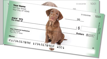 Chocolate Lab Pup Side Tear Theme Checks