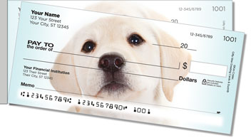 Yellow Lab Pup Side Tear Theme Checks