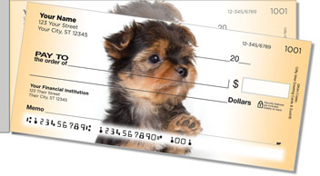 Yorkie Pup Side Tear Design Checks