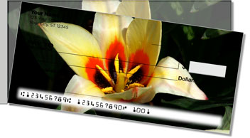 Flower Petal Side Tear Theme Checks