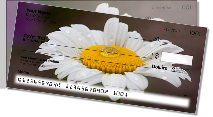 Gerber Daisy Side Tear Checks