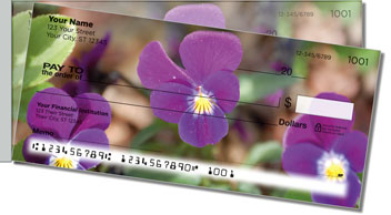 Vivid Violet Side Tear Design Checks